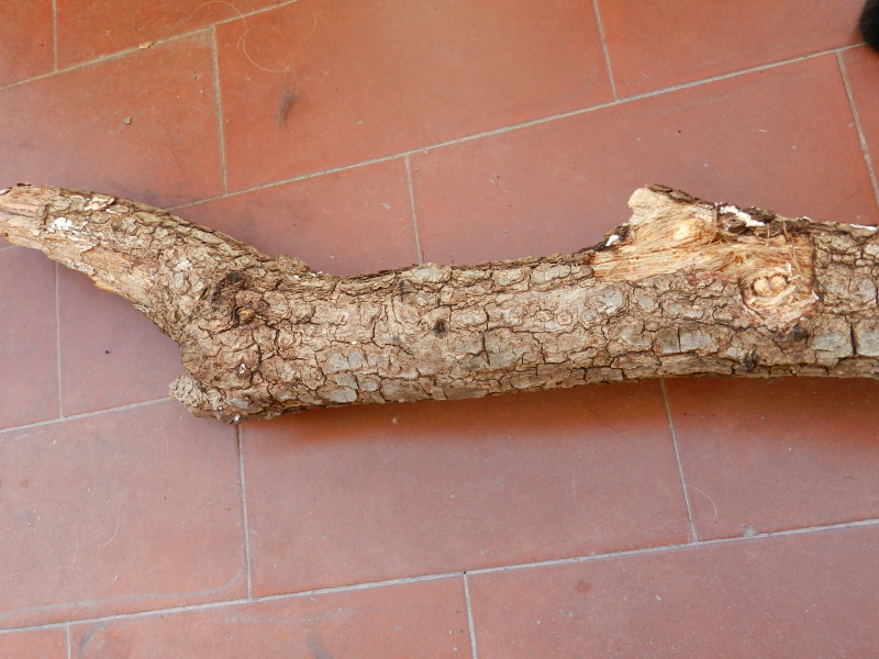Mancato ....